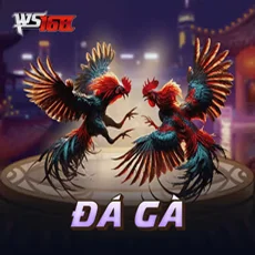 ws168 DÁ GÀ Fabet